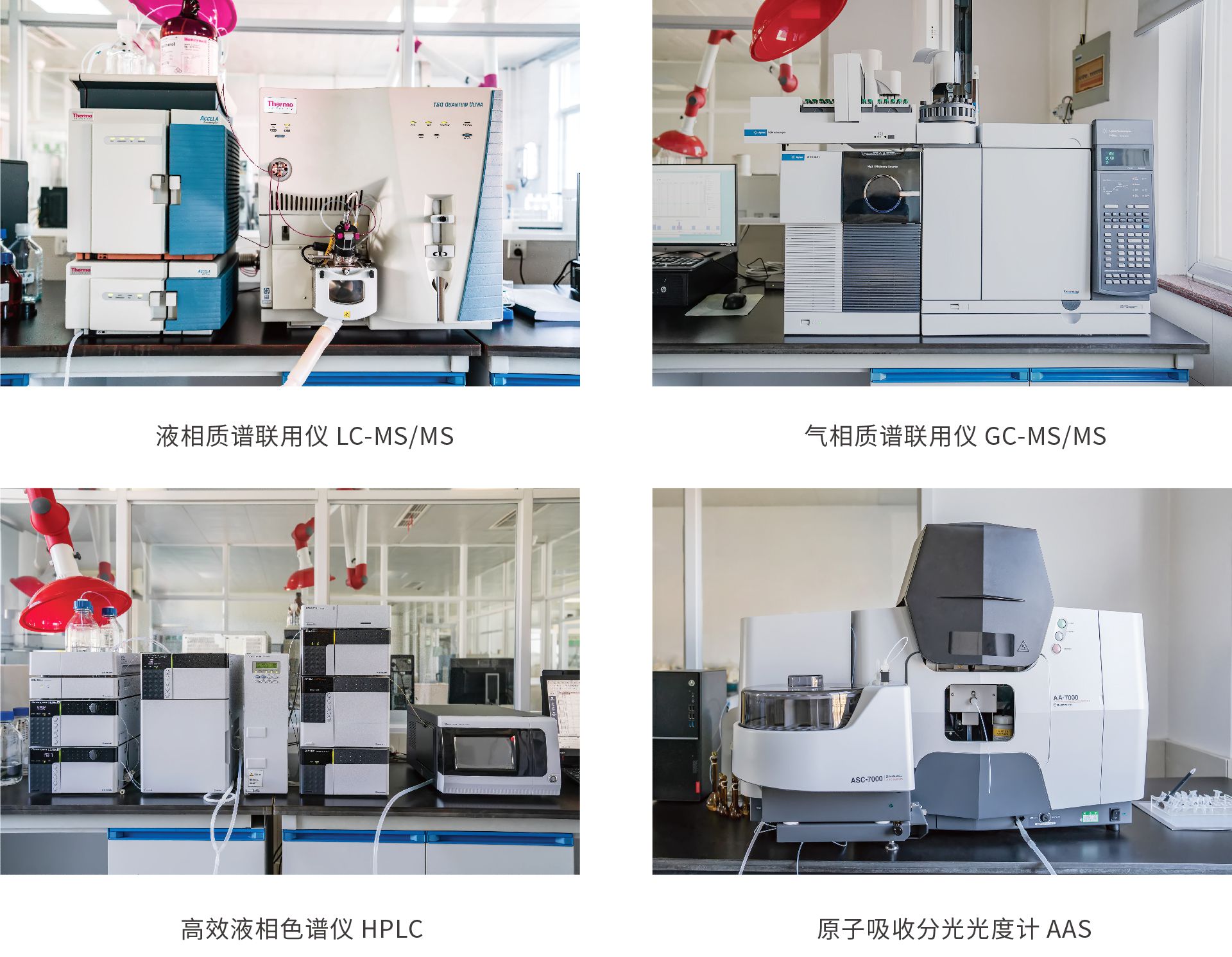 江山插图_画板 1 副本 10.jpg