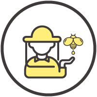 Layout of the whole industrial chain